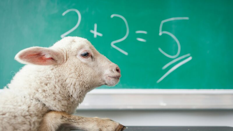 Erreur = opportunité d’apprentissage