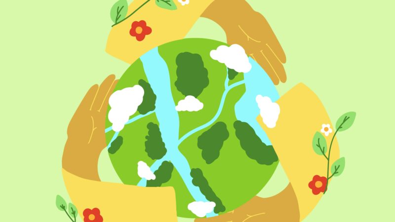 Comment appliquer l’ISO 14001 dans votre organisation ?
