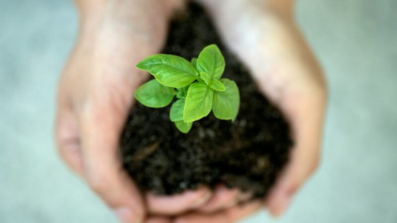 ISO 14001 en 2026 : un outil stratégique pour les entreprises